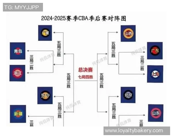 CBA赛季中期球队战绩分析与未来赛程展望及潜在晋级形势预测 CBA赛季中期球队战绩分析与未来赛程展望及潜在晋级形势预测